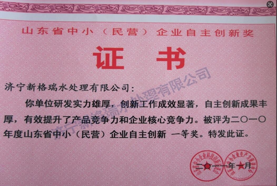 山東省中?。駹I）企業(yè)自主創(chuàng)新一等獎